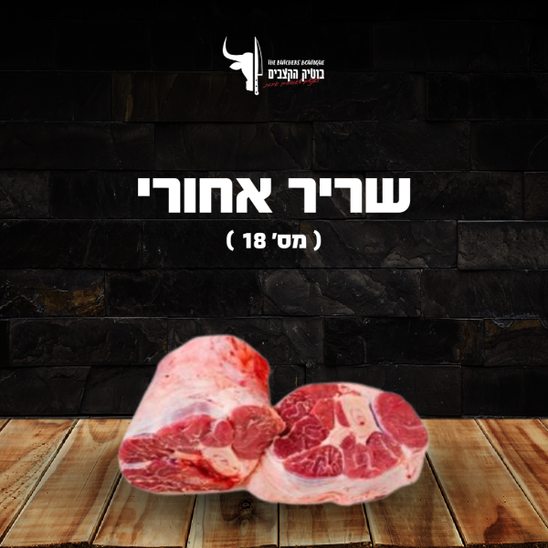 מס 18 (שריר אחורי)