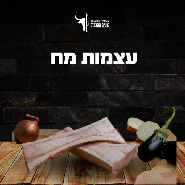 עצמות מח